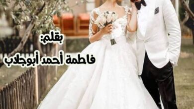 صورة رواية احببت رجلا متزوجا( كاملة وحصريه من الفصل الاول حتي الفصل الاخير ) بقلم فاطمة احمد