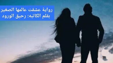 صورة رواية عشقت عالمها الصغير الفصل التاسع عشر 19 بقلم رحيق الورود