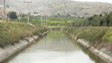 صورة من هو الطفل الذي توفي غرقا بقناة الملك عبدالله